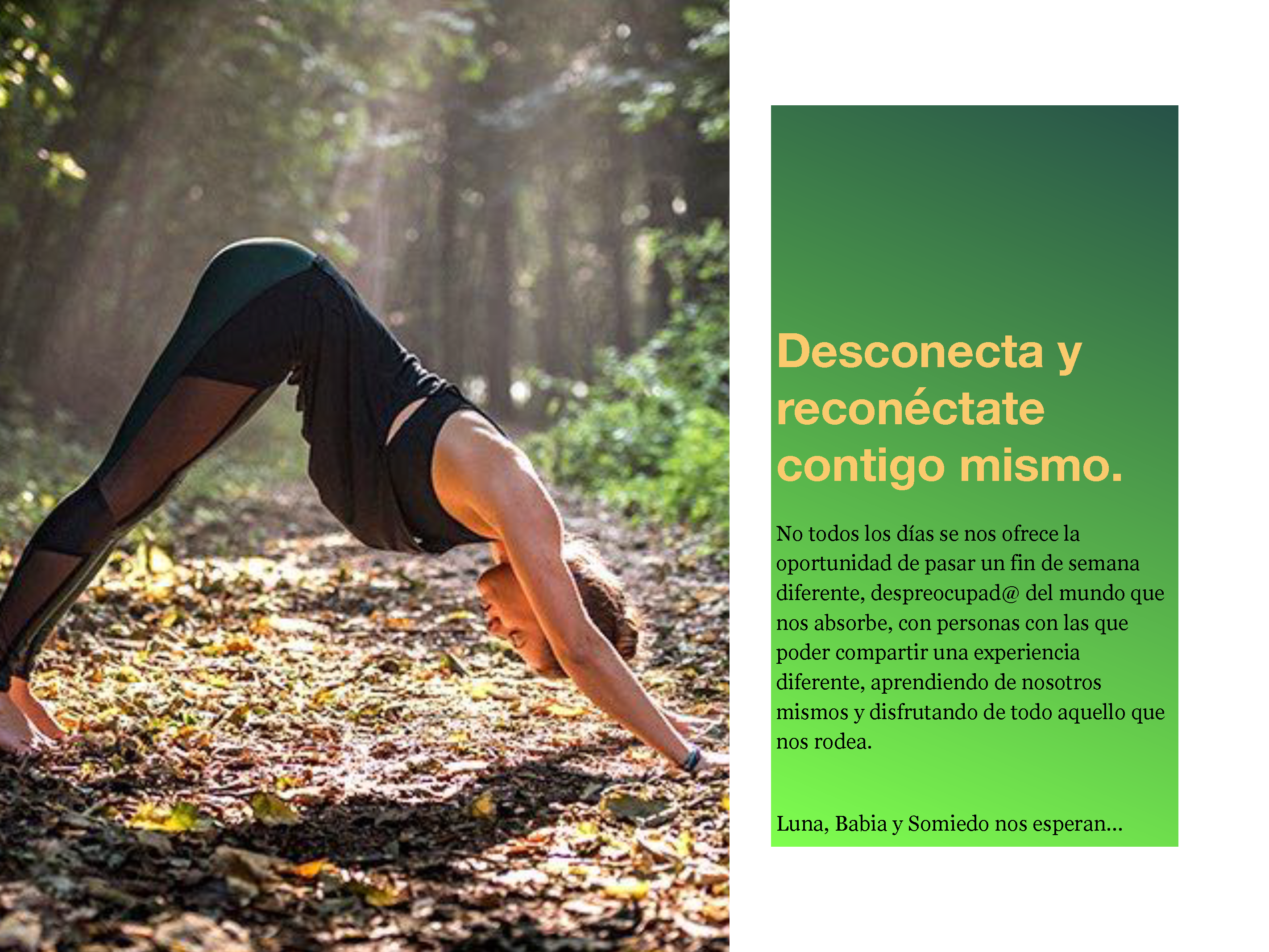 I Wellness Experience_Página_02