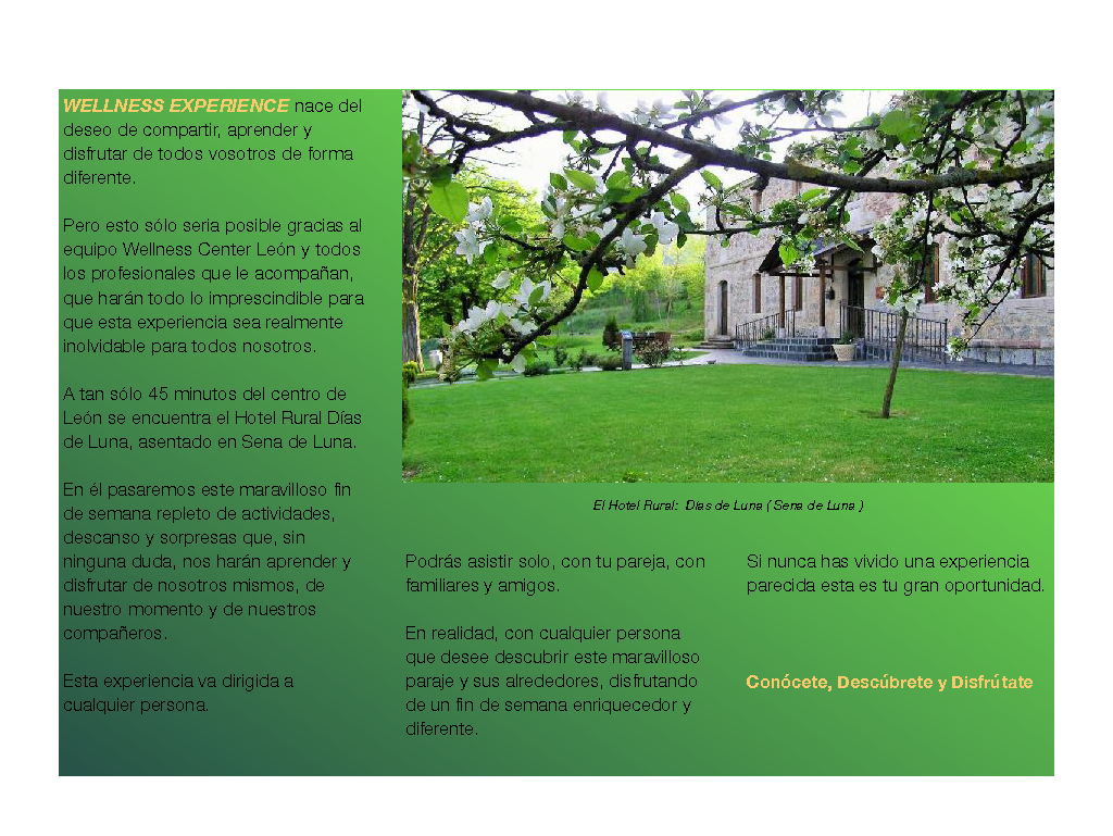 I Wellness Experience_Página_04