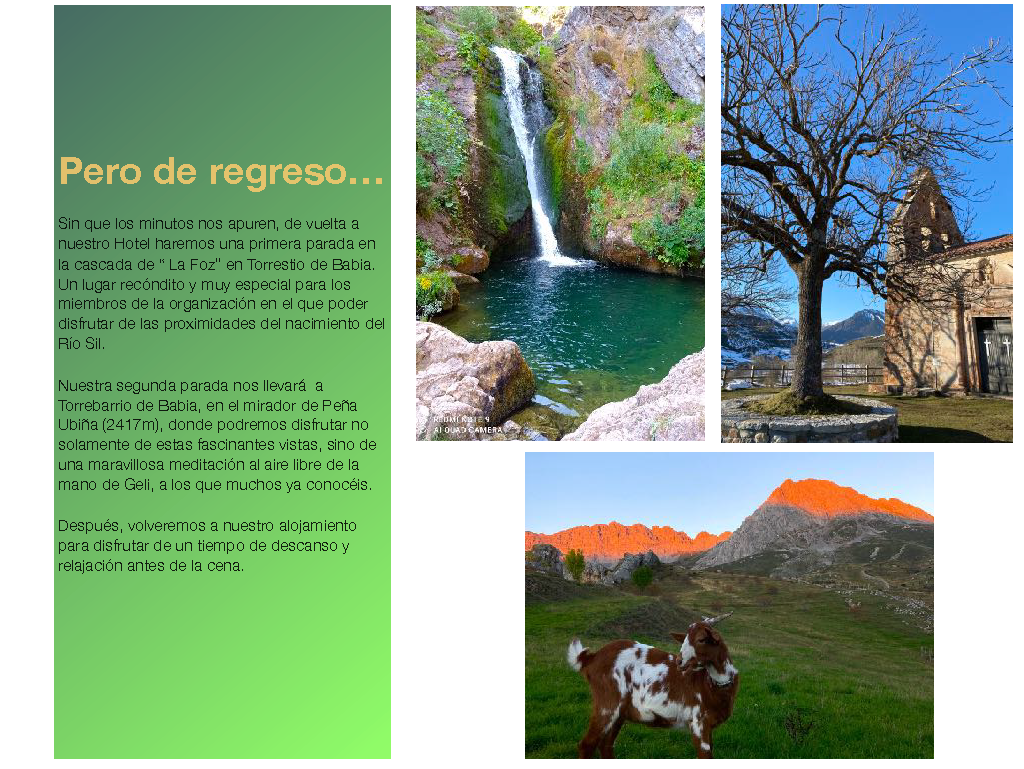 I Wellness Experience_Página_10