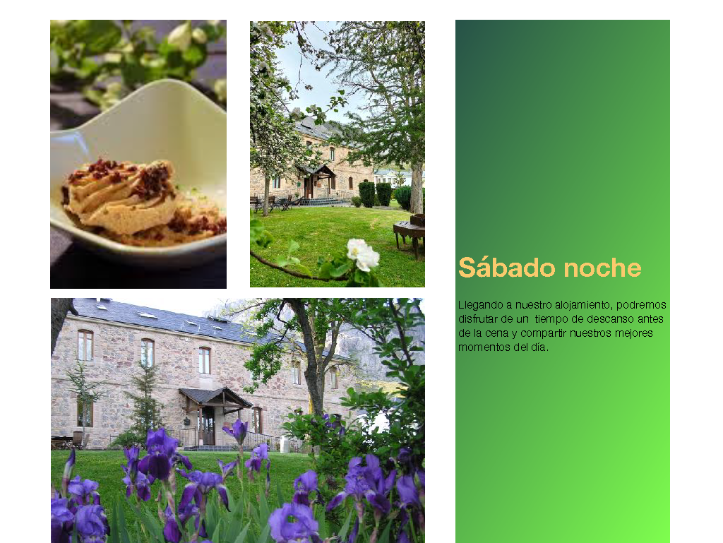 I Wellness Experience_Página_11